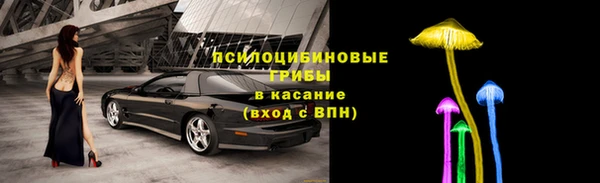 spice Алексин
