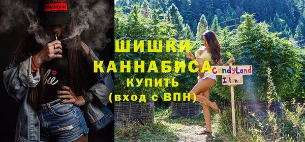 PSILOCYBIN Алзамай