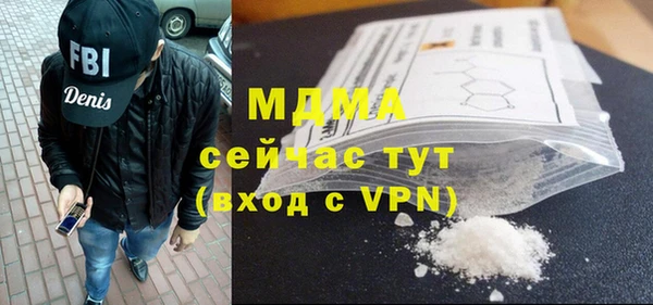 PSILOCYBIN Алзамай