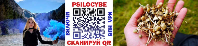 Галлюциногенные грибы ЛСД  цена наркотик  Арск 